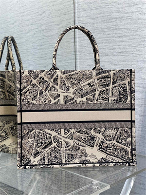 CD Large Book Tote Beige and Black Plan de Paris Embroidery