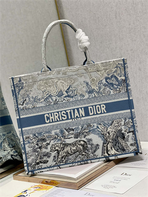 CD Large Book Tote Gradient Toile de Jouy Embroidery Blue