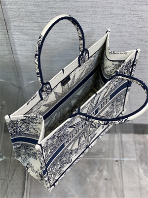 CD Large Book Tote R??ve d’Infini Embroidery White and Blue