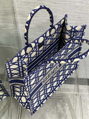 CD Large Book Tote Beige and Blue Macrocannage Embroidery