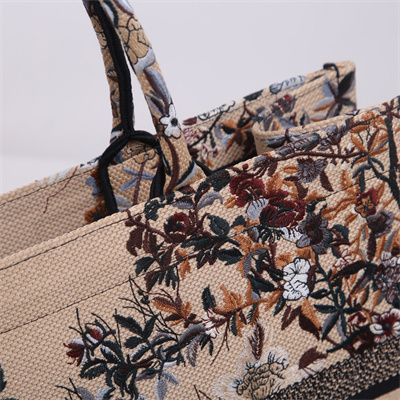 CD Large Book Tote Jardin d’Hiver Embroidery Beige Multicolor