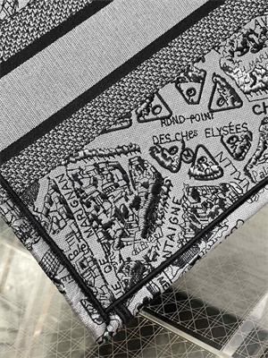 CD Medium Book Tote Grey and Black Plan de Paris Embroidery