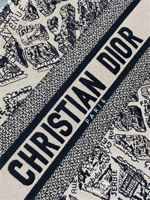 CD Medium Book Tote Beige and Black Plan de Paris Embroidery