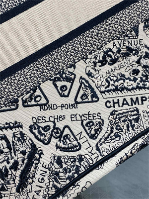 CD Medium Book Tote Beige and Black Plan de Paris Embroidery