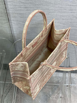 CD Medium Book Tote Toile de Jouy Embroidery Ecru and Pink