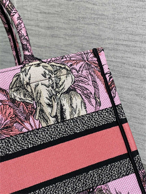 CD Medium Book Tote Voyage Toile de Jouy Embroidery Lt Pink Multicolor
