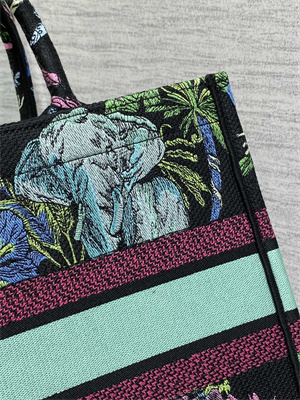 CD Medium Book Tote Voyage Toile de Jouy Embroidery Green and Multicolor