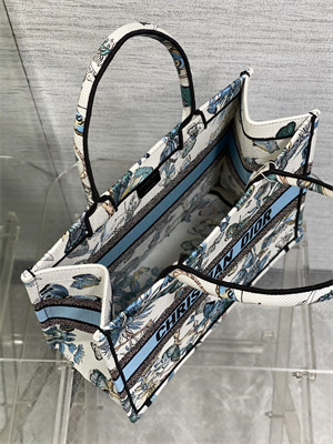 CD Medium Book Tote Toile de Jouy Mexico Embroidery White and Pastel Midnight Blue