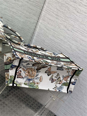 CD Medium Book Tote Toile de Jouy Mexico Embroidery White Multicolor