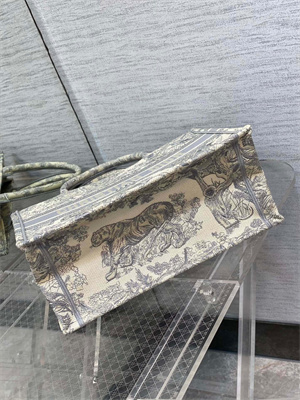 CD Medium Book Tote Toile de Jouy Embroidery Ecru and Grey