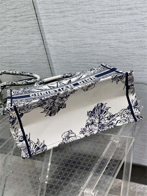 CD Medium Book Tote R??ve d’Infini Embroidery White and Blue