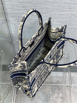 CD Medium Book Tote Toile de Jouy Embroidery Ecru and Blue