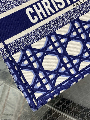 CD Medium Book Tote Beige and Blue Macrocannage Embroidery