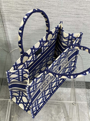 CD Medium Book Tote Beige and Blue Macrocannage Embroidery