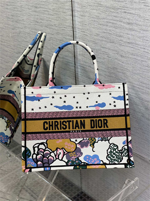 CD Medium Book Tote Ciel de R??ve Embroidery White Multicolor