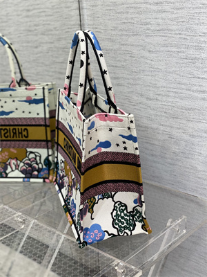 CD Medium Book Tote Ciel de R??ve Embroidery White Multicolor