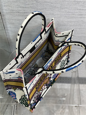 CD Medium Book Tote Ciel de R??ve Embroidery White Multicolor