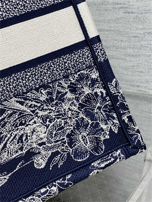 CD Medium Book Tote R??ve d’Infini Embroidery Blue and White