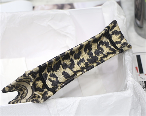 CD Mini Book Tote Beige Multicolor Mizza Embroidery