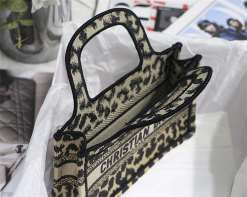 CD Mini Book Tote Beige Multicolor Mizza Embroidery