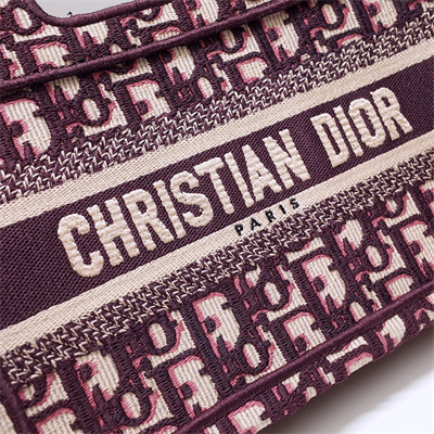 CD Mini Book Tote Oblique Embroidery Burgundy