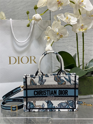 CD Mini Book Tote With Strap Toile de Jouy Mexico Embroidery White and Pastel Midnigiht Blue