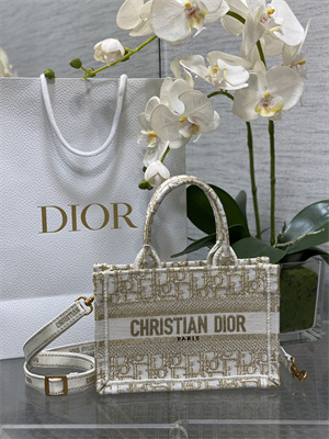 CD Mini Book Tote With Strap Oblique Embroidery White and Gold Tone