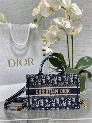 CD Mini Book Tote With Strap Blue Oblique Embroidery