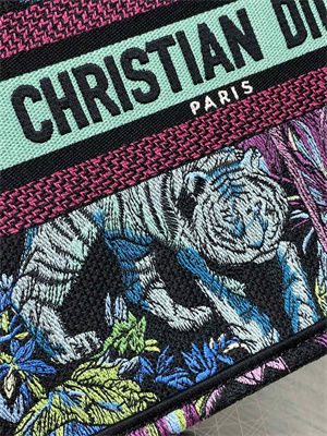 CD Small Book Tote Voyage Toile de Jouy Embroidery Green Multicolor