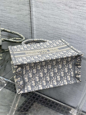 CD Small Book Tote Ecru and Grey Oblique Embroidery