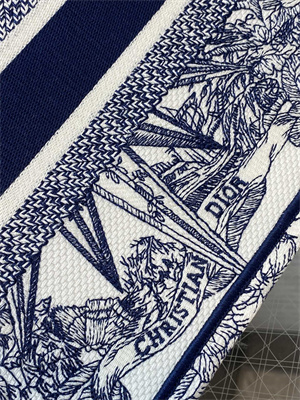 CD Small Book Tote R??ve d’Infini Embroidery White and Blue