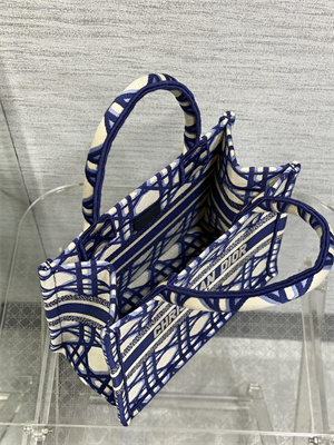 CD Small Book Tote Beige and Blue Macrocannage Embroidery