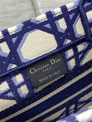 CD Small Book Tote Beige and Blue Macrocannage Embroidery