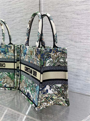 CD Small Book Tote ??toile de Voyage Embroidery Green Multicolor