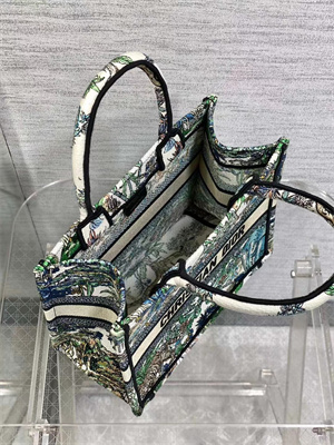 CD Small Book Tote ??toile de Voyage Embroidery Green Multicolor