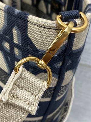 CD Hat Basket Bag  Embroidery Beige and Blue Macrocannage Embroidery