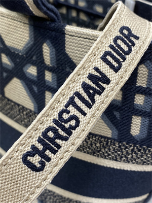 CD Hat Basket Bag  Embroidery Beige and Blue Macrocannage Embroidery