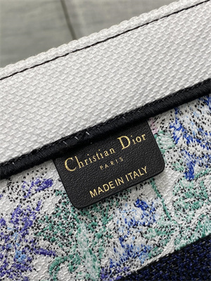 CD Medium Book Tote Flowers Constellation Embroidery Blue Multicolor