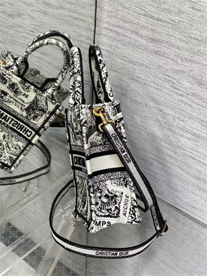 CD Mini Vertical Di.or Book Tote With Strap Plan de Paris Embroidery White and Black