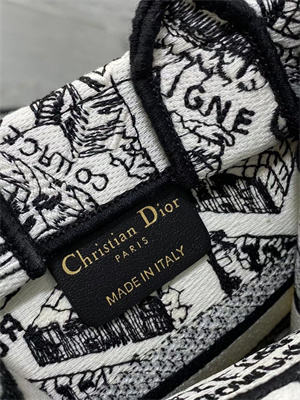 CD Mini Vertical Di.or Book Tote With Strap Plan de Paris Embroidery White and Black