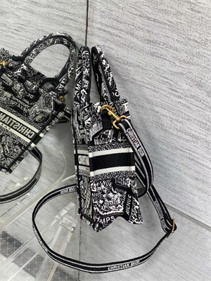 CD Mini Vertical Di.or Book Tote With Strap Plan de Paris Embroidery Black and White