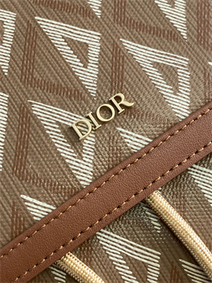 Large Di.or Hit The Road Backpack Brown CD Diamond Canvas