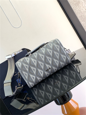 Di.or Lingot 22 Shoulder Bag Grey CD Diamond Canvas