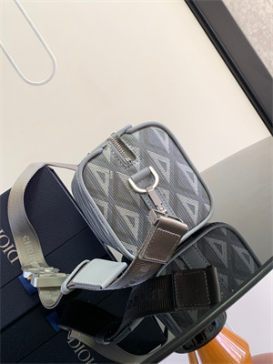 Di.or Lingot 22 Shoulder Bag Grey CD Diamond Canvas