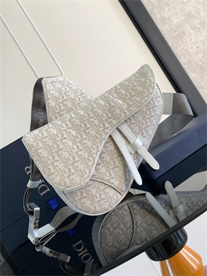 Di.or Saddle Bag Beige Oblique Jacquard