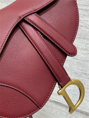 CD Mini Saddle Bag Grained Calfskin Wine Color