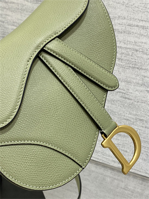 CD Mini Saddle Bag Grained Calfskin Lt Green Color