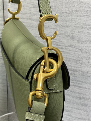 CD Mini Saddle Bag Grained Calfskin Lt Green Color