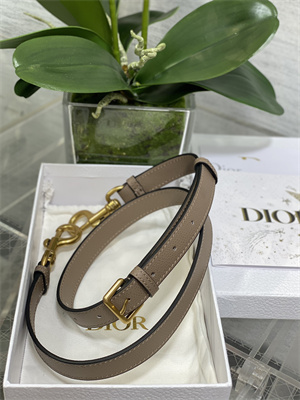 CD Mini Saddle Bag Grained Calfskin Warm Taupe Color