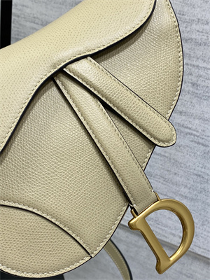 CD Mini Saddle Bag Grained Calfskin Sand Color